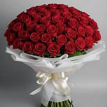 Букет 101 Красная роза Блэк Мэджик в Балаганске