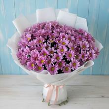 Букет цветов из:  Хризантемы в Балаганске