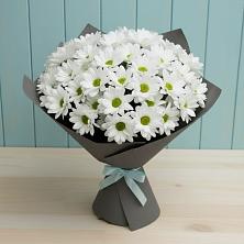 Букет цветов из:  Хризантемы в Балаганске
