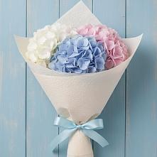 Букет цветов из:  Гортензия в Балаганске