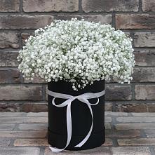 Цветочная композиция из Гипсофила в шляпной коробке в Балаганске