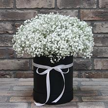 Цветочная композиция из Гипсофила в шляпной коробке в Балаганске