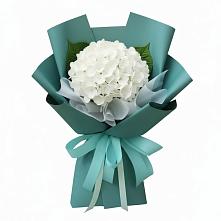 Букет цветов из:  Гортензия в Балаганске